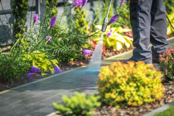 Best Residential House Exterior Washing  in Coldwater, OH